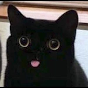 Meet your Posher, Eman